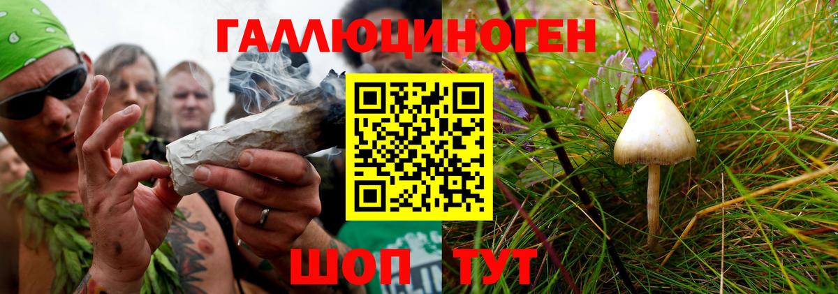 Лесосибирск  Псилоцибиновые грибы GOLDEN TEACHER  Псилоцибиновые грибы мицелий  Вход с VPN 