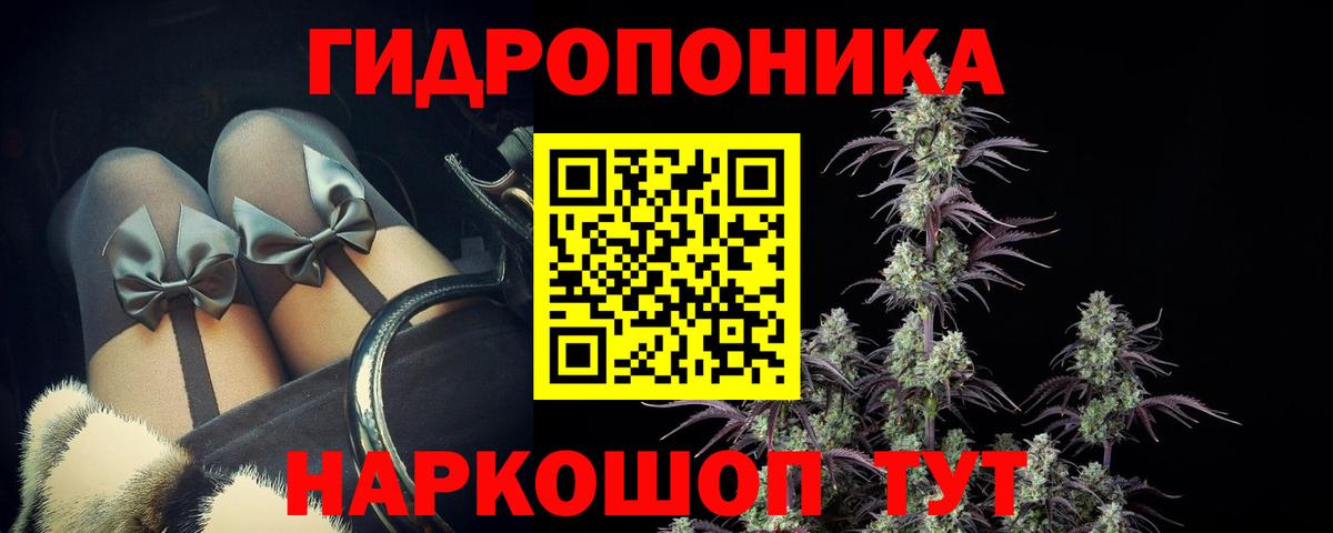 Бошки Шишки план  Марихуана конопля  Лесосибирск  Вход с VPN  Марихуана семена  Марихуана OG Kush 